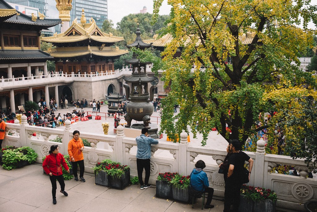 Shanghai City Walk Shots