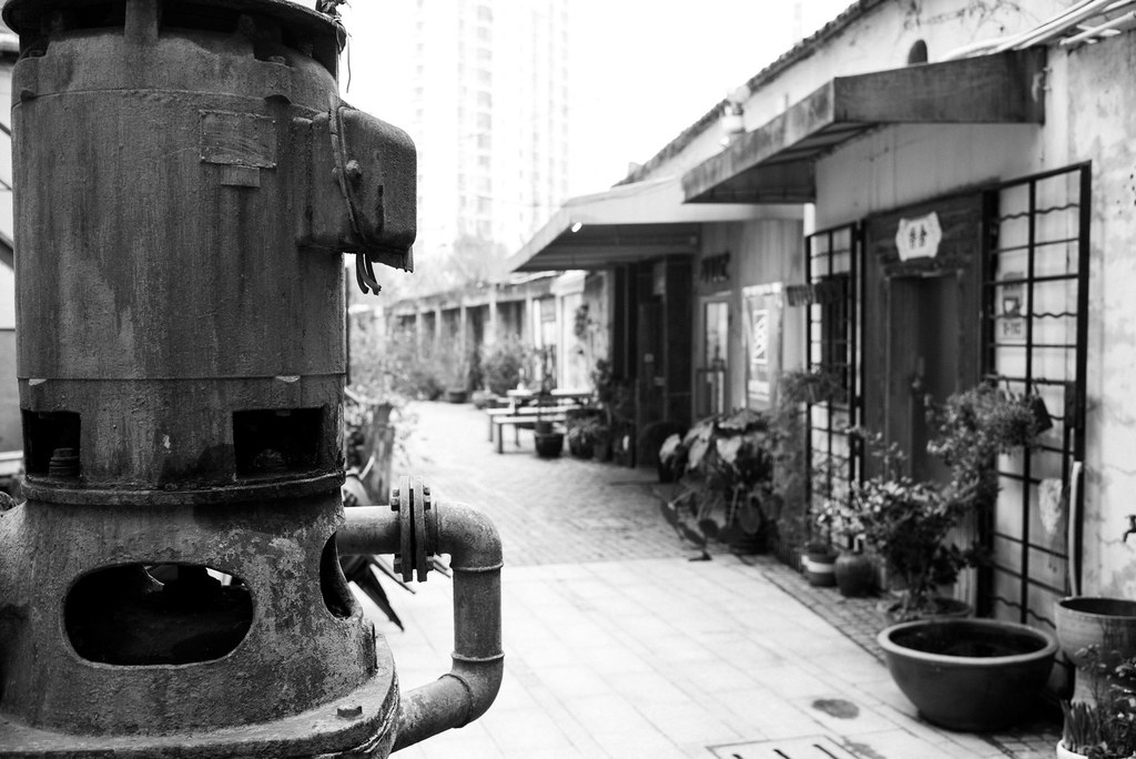 Shanghai City
