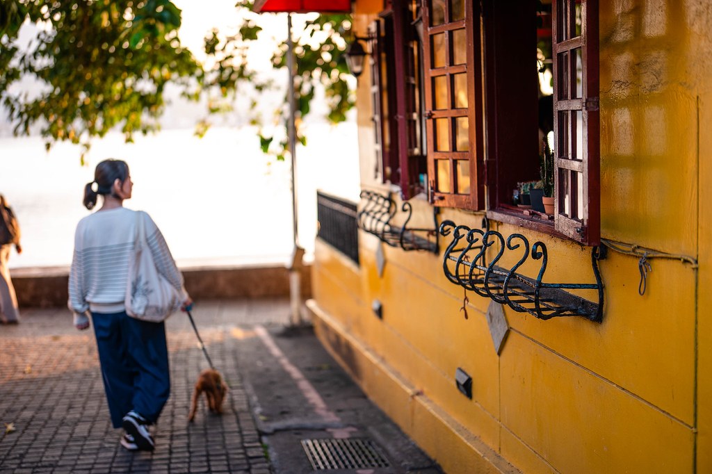Tamhai Street Shot