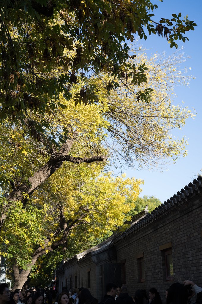 Tour @China