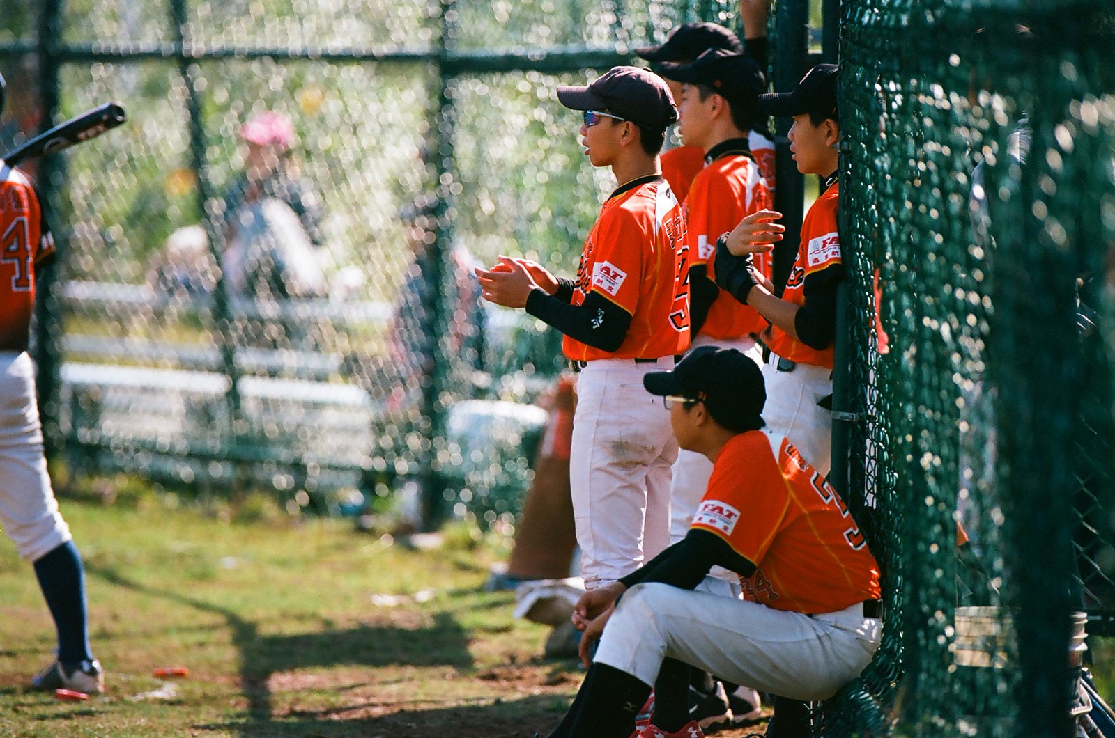 Baseball