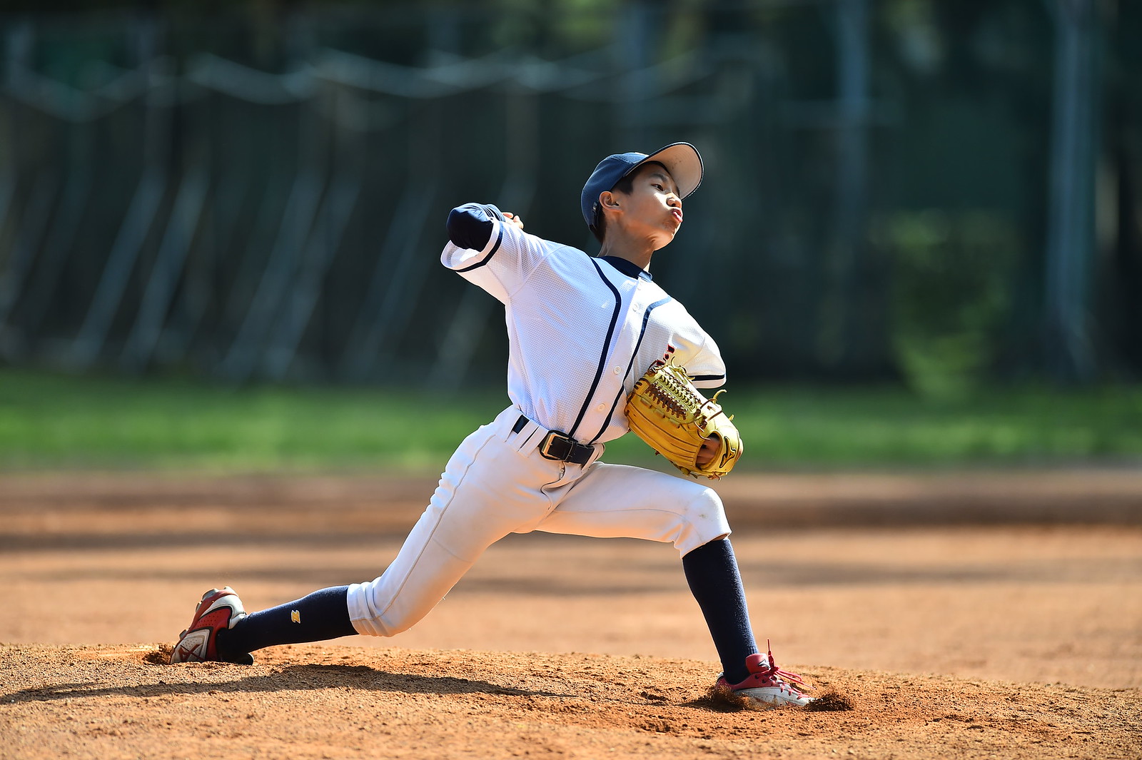 Baseball_201612