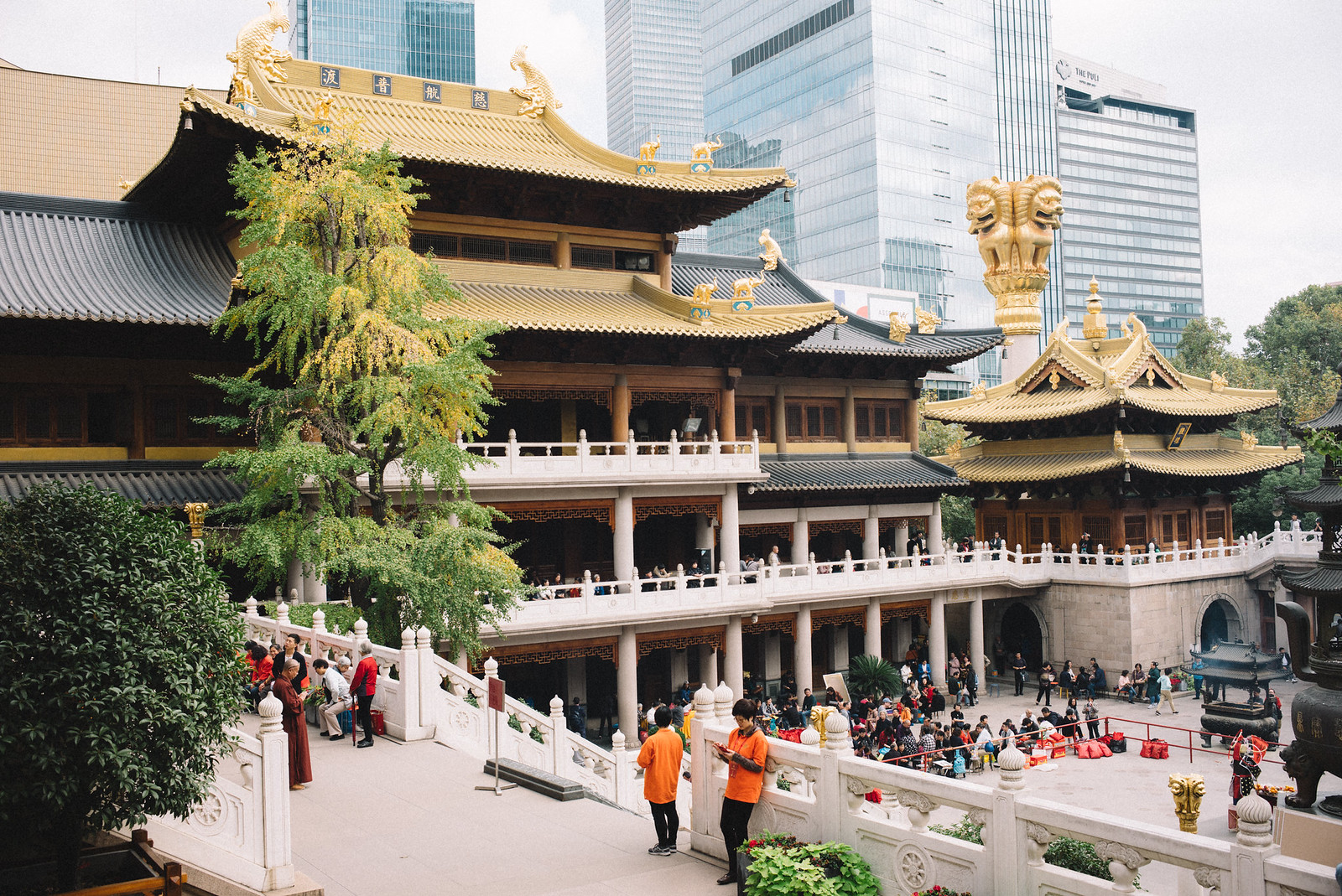 Shanghai City Walk Shots