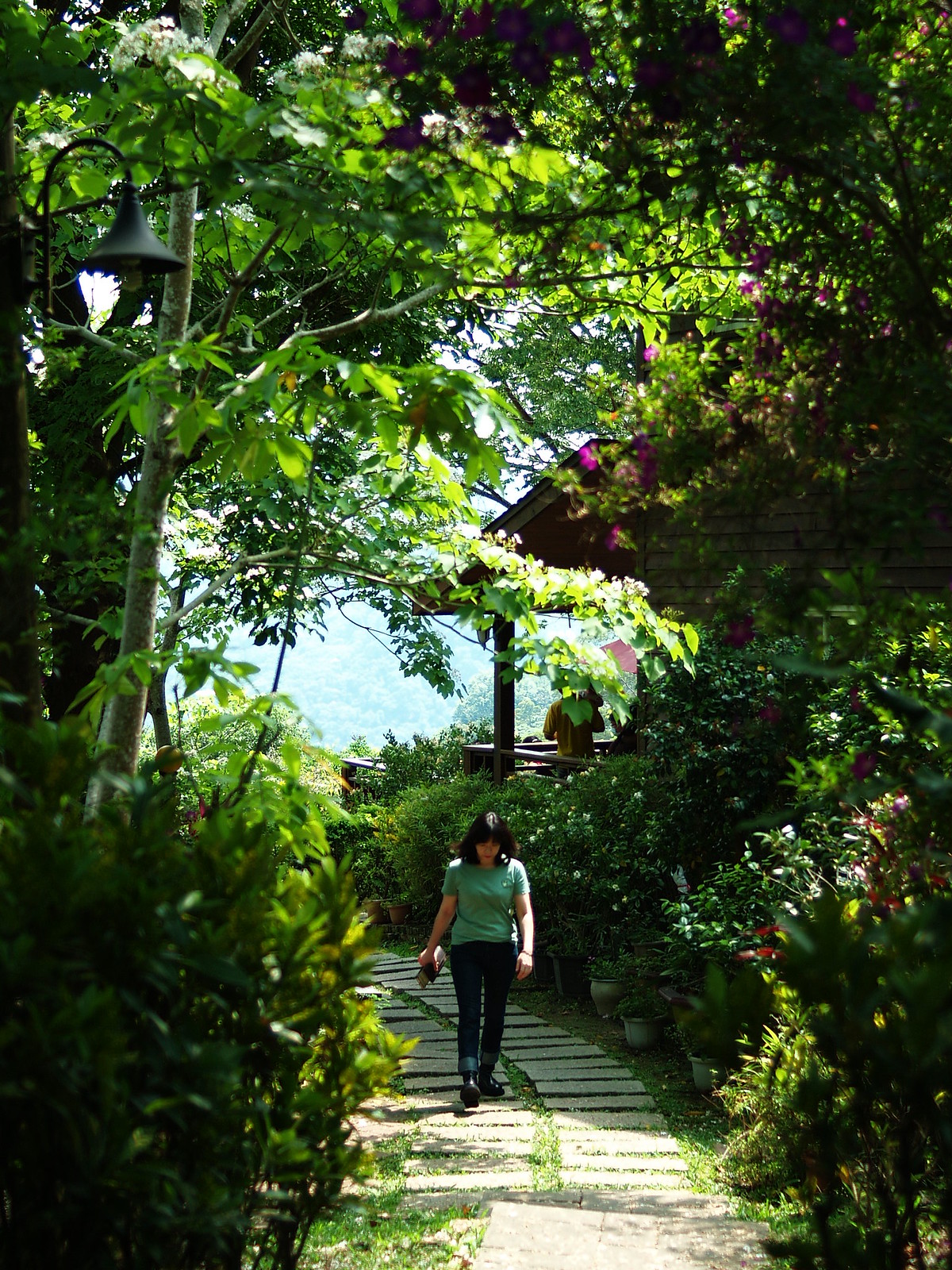 Green @Olympus E-1