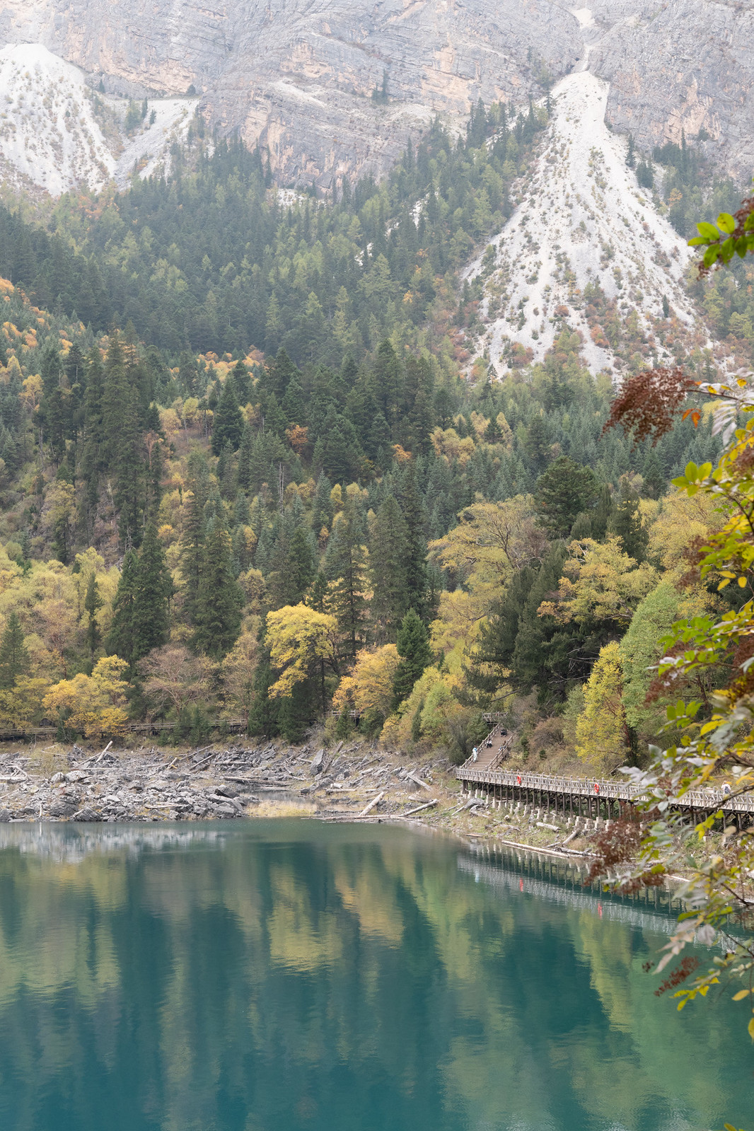 Chengdu & Jiuzhaigou